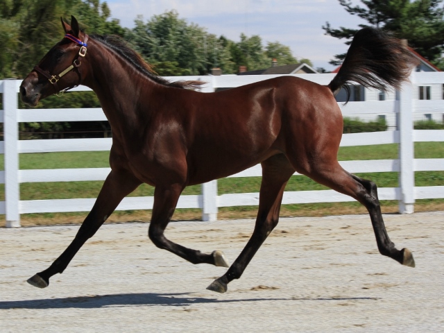 Sale Price: $145,000.00