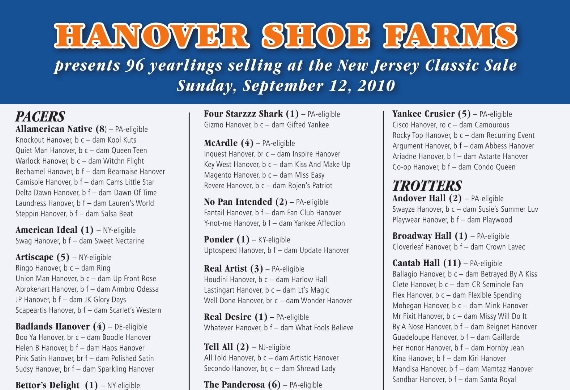 NJ Classic Yearlings