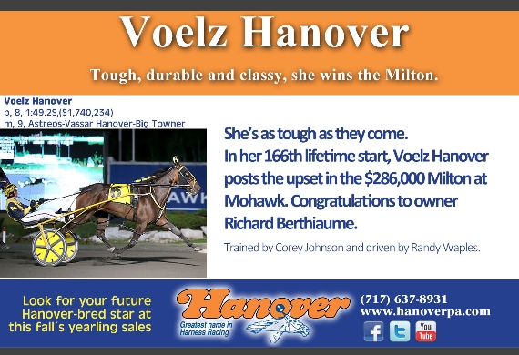 Voelz Hanover