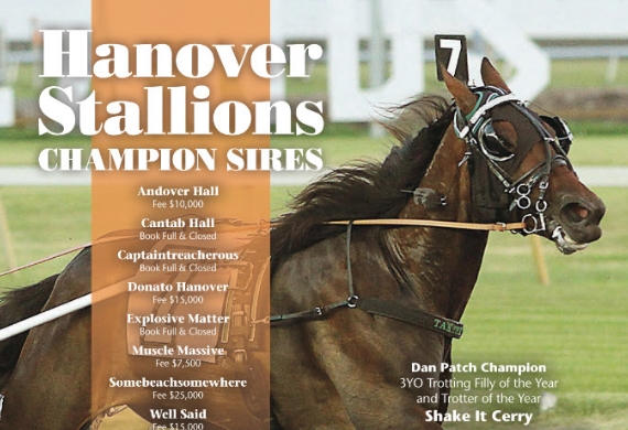 Champion Sires