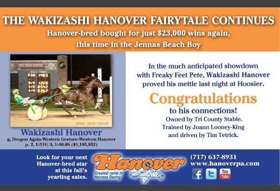 Wakizashi Hanover