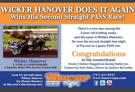 Wicker Hanover