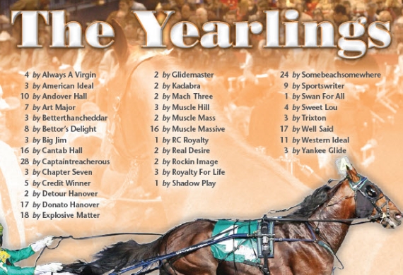 Harrisburg Yearlings