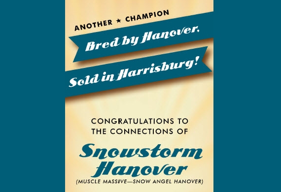 Snowstorm Hanover