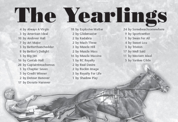 The Yearlings