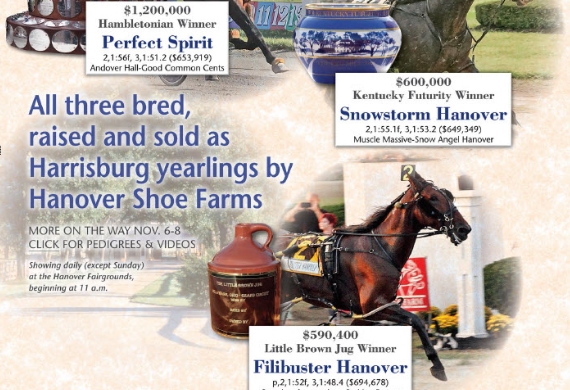 Three Harrisburg Sold Winners