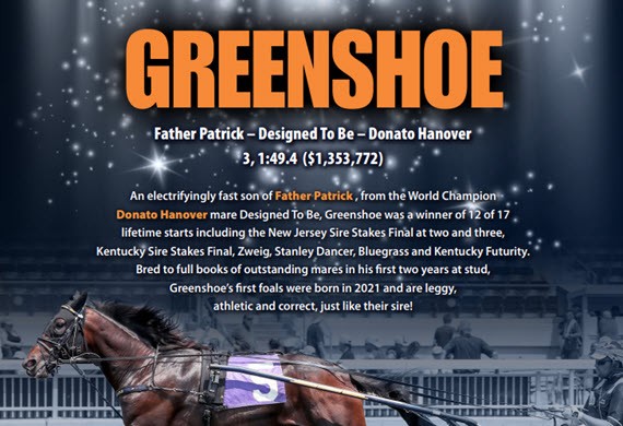 Greenshoe 2021