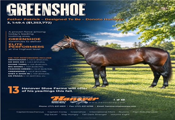Greenshoe