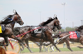 Hambo2013